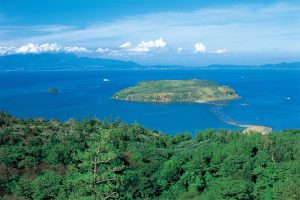 知林ヶ島